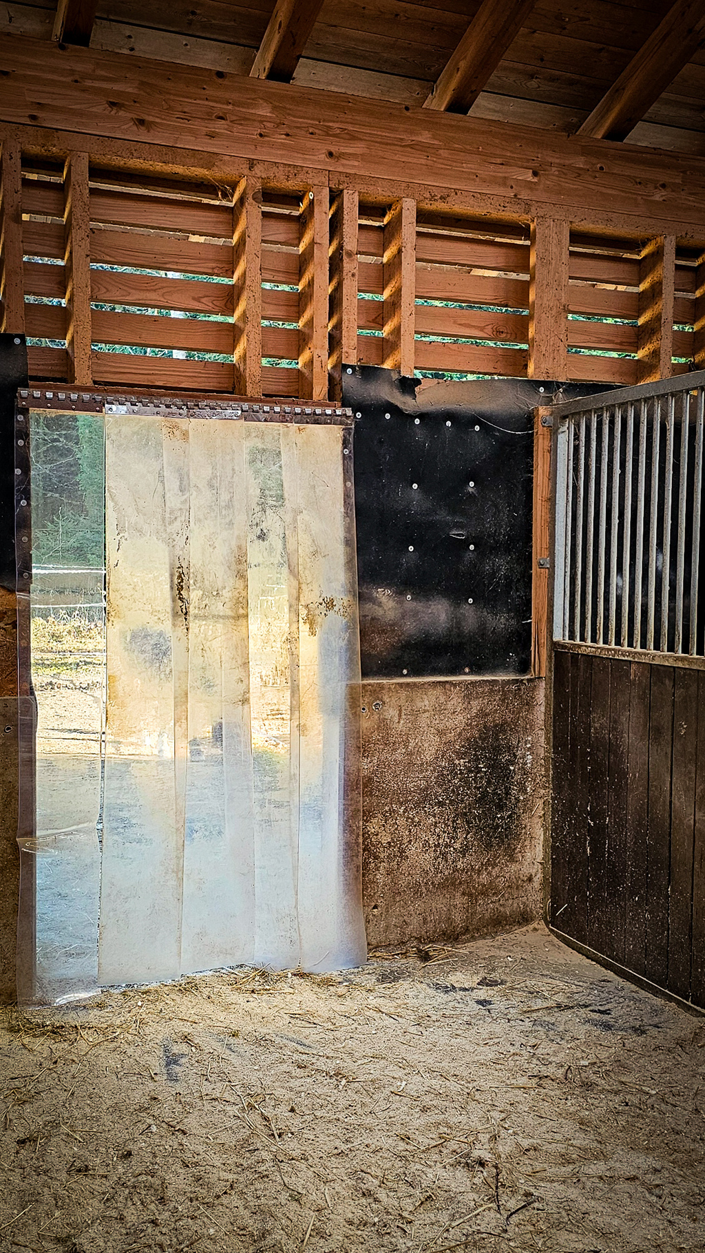 freie Box mit Paddock